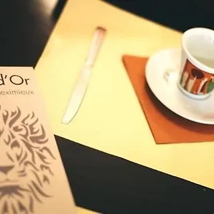 hotel-restaurant-le-lion-dor-meximieux.hotels-rhonealpes.com/